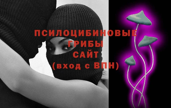 прущие крисы Вяземский